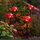Maximex, lampki ogrodowe solarne, biedronki LED, 14 cm, 4 szt.