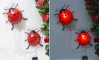 Maximex, lampki ogrodowe solarne, biedronki LED, 20 cm, 2 szt.