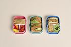 Mepal, Campus, lunchbox, Tropical Ocean