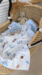 MimiNu, NewMinky, Teddy, poduszeczka płaska, misie błękit + baby blue, 30 cm