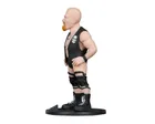 Minix, WWE, Stone Cold Steve Austin, figurka kolekcjonerska