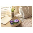 Mola, chusteczki higieniczne, 2-warstwowe, 120 szt.