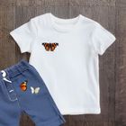 Naprasowanki, naplamki, Motyle