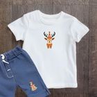 Naprasowanki, naplamki, Święta