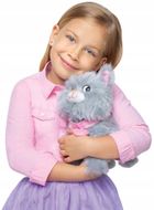 Natalia, kotek chodzący na smyczy, szary