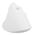 Natec, mysz bezprzewodowa, wertykalna, Crake 2, BT 5.2 + 2.4GHz, biała