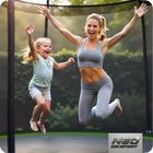 Neo-Sport, trampolina ogrodowa z siatką zewnętrzną i drabinką, 8ft/252 cm