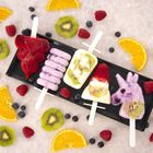 Orion, forma do lodów silikonowa z pokrywką, rakieta