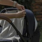 Petite&Mars, Sunny, osłona przeciwsłoneczna, mocha mousse