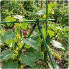 Plonos, złączki do tyczek, czarne, 11 mm, typu A, 4 szt., PL-941