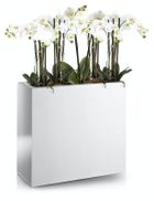 Polnix, prostokątna donica z włókna szklanego, 50-20 cm, biała