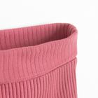 Półśpiochy dziewczęce, rózowe, Nicol