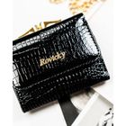 Portfel, czarny, skórzany, Rovicky