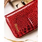 Portfel, czerwony, skórzany, Peterson