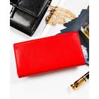 Portfel, czerwony, skórzany, Rovicky