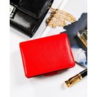 Portfel, czerwony, skórzany, Rovicky