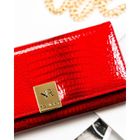 Portfel, czerwony, skórzany, Rovicky