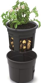Prosperplast, doniczka do sadzenia ziemniaków, 39,2 cm
