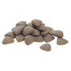 Purina Pro Plan, Adult Medium Sensitive, karma sucha dla psa, Lamb, 14 kg