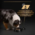 Purina, Pro Plan, Ryba w galarecie, mokra karma dla psów dorosłych, 400g