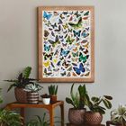 Puzzlove, CzuCzu, Motyle, puzzle, 1000 elementów