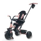 Qplay, Elite Platinum, rowerek 3-kołowy, Pink