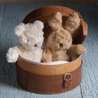 Ragtales, Mini Darcy, pluszowy misiek