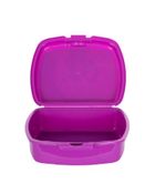 Rainbow High, lunchbox