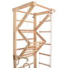 Rinagym, drewniana drabinka gimnastyczna, Sport 3, naturalny