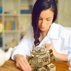 Robotime, Pozytywka LED, Steampunk Robot, drewniane puzzle 3D, 221 elementy