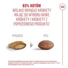 Royal Canin, FHN Cat Ageing 11+, karma sucha dla kotów, 2 kg