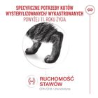 Royal Canin, FHN Cat Ageing Sterilised 11+, sucha karma dla kotów sterylizowanych, 4kg
