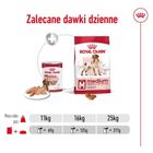 Royal Canin, SHN Medium Adult Loaf, 410g