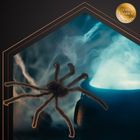 Ruhhy, pająk, dekoracja, 50 cm