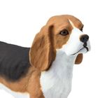 Safari Ltd, figurka, pies beagle