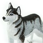 Safari Ltd, figurka, pies husky syberyjski