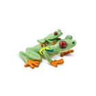 Safari Ltd, figurka, żaba czerwonooka rzekotka drzewna