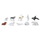 Safari Ltd, Toob, zestaw figurek, zwierzęta arktyki