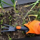 Saska Garden, pazurki, kultywator ogrodowy