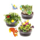 SES Creative, Ogródek na drzewie, zestaw kreatywny