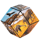 Shashibo, kostka magnetyczna, łamigłówka, Savanna