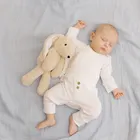 Smiki, Little Dreamer, Szumiący króliczek, maskotka ze światłem i melodiami