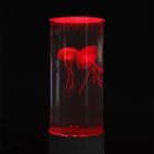 Smiki, Meduzy, lampka tuba