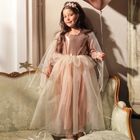 Souza! Philou, sukienka wizytowa tiulowa, z rękawami, 3-4 lata