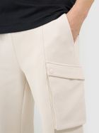 Spodnie dresowe męskie, beżowe, 4F