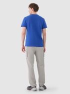 Spodnie dresowe męskie, szare, 4F