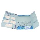 Starpak, teczka z gumką A4, Dino, 1 szt.