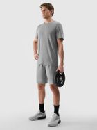 Szorty męskie, szare, 4F