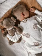 Szumisie, Miś dla starszaków, maskotka z mechanizmem szumiącym 5w1, brązowy, 36 cm