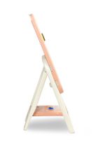 Toyz, Ted, tablica edukacyjna z krzesełkiem, pink